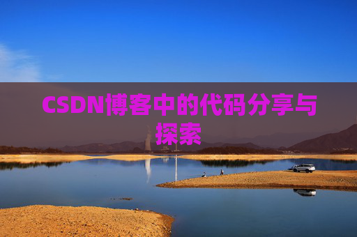 CSDN博客中的代码分享与探索